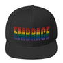 EMBRACE Rainbow Black Flat Bill Snapback